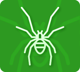 Dedetização de Aranhas - Dedetizadora RJ